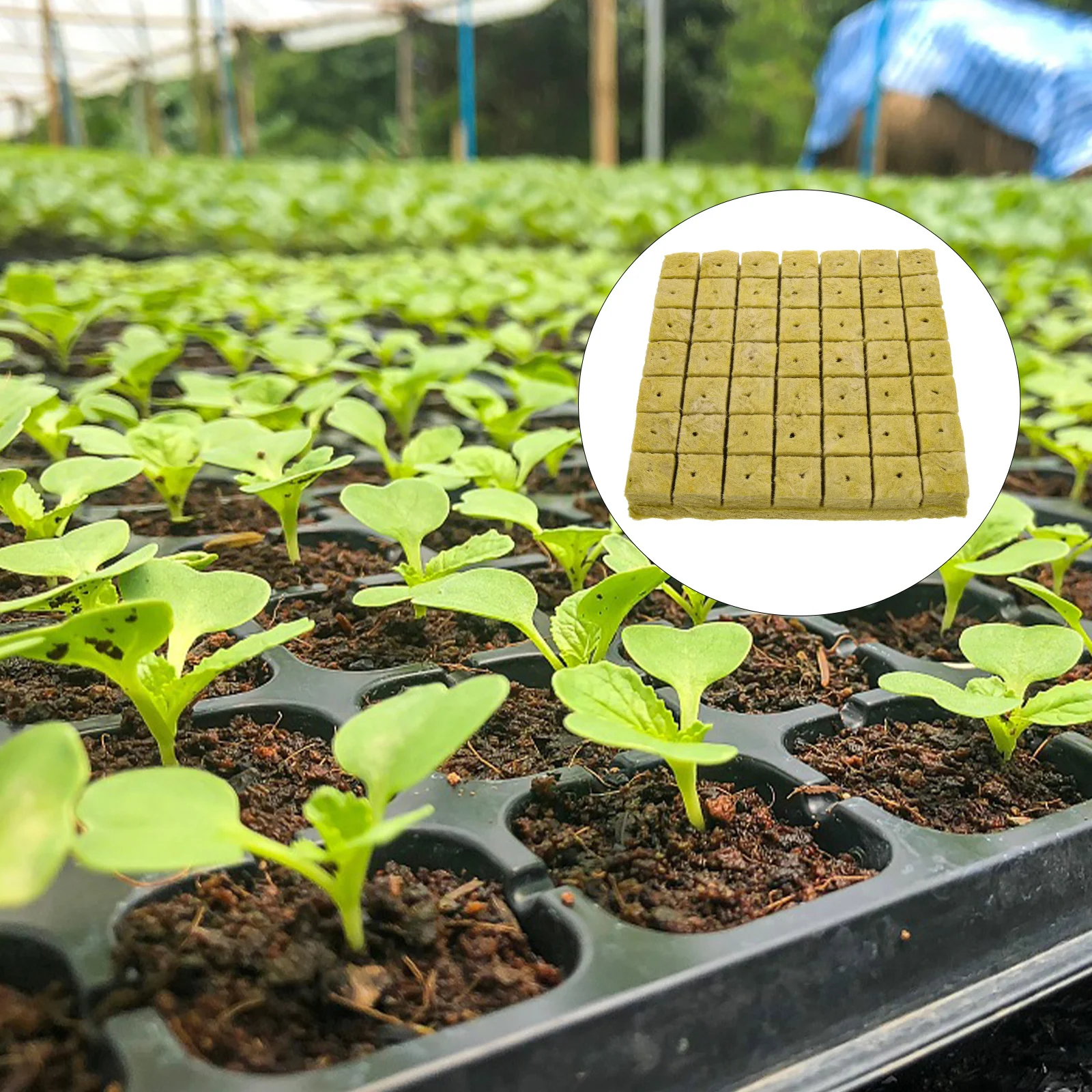 98pcs Seedling Starter Block Soilless Cultivation Growing Medium For Healthy Roots Easy Plant Propagation Garden Supplies
98pcs Seedling Starter Block Soilless Cultivation Growing Medium For Healthy Roots Easy Plant Propagation Garden Supplies