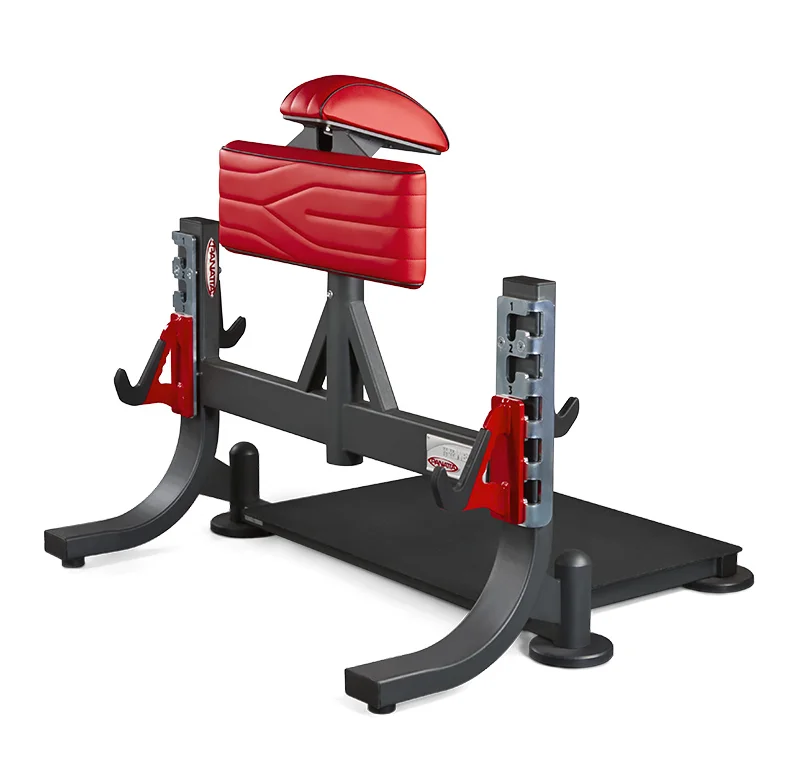 Fitness Professional Fitness Chair High Quality Stand up Back Exercise Muscle Trainer Roman Chair Multifunctional Chair
Fitness Professional Fitness Chair High Quality Stand up Back Exercise Muscle Trainer Roman Chair Multifunctional Chair