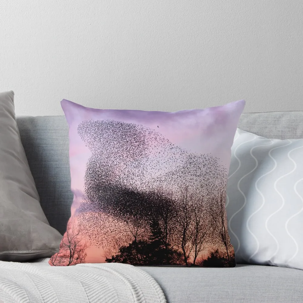 Murmuration of Starlings (3) at Gretna, November 5th 2011 Throw Pillow Marble Cushion Cover Bed pillowcases pillow
Murmuration of Starlings (3) at Gretna, November 5th 2011 Throw Pillow Marble Cushion Cover Bed pillowcases pillow