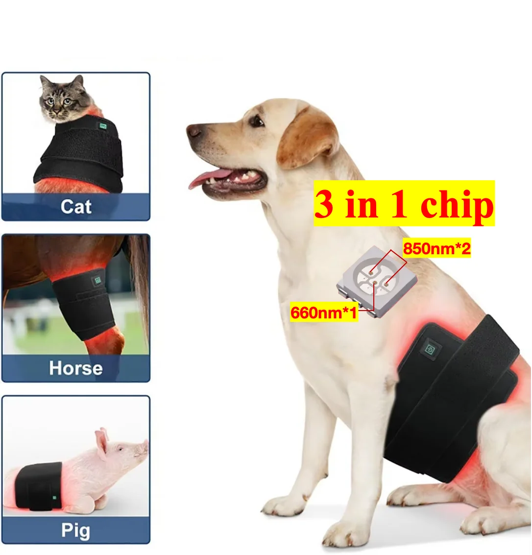 Pet Belt 160pcs Led Red Light Near Light Pet Therapy Led Lamp Horse Red Light Therapy Pad Machine For Horse Back
Pet Belt 160pcs Led Red Light Near Light Pet Therapy Led Lamp Horse Red Light Therapy Pad Machine For Horse Back