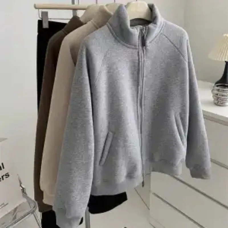 Зимний утолщенный бархатный свитшот из ягненка, пальто для женщин, универсальный теплый повседневный кардиган на молнии с воротником-стойкой
Зимний утолщенный бархатный свитшот из ягненка, пальто для женщин, универсальный теплый повседневный кардиган на молнии с воротником-стойкой