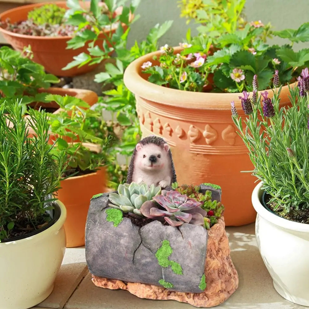 Multifunction Resin Succulent Planter Pot Cute Cartoon Animal Vase Simulated Pastoral Style Hydroponic Flower Holder Office
Multifunction Resin Succulent Planter Pot Cute Cartoon Animal Vase Simulated Pastoral Style Hydroponic Flower Holder Office