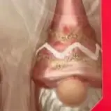 Рождественское украшение стеклянное 3 дюйма Санта-Клаус 4 подарочных короба набор
Рождественское украшение стеклянное 3 дюйма Санта-Клаус 4 подарочных короба набор