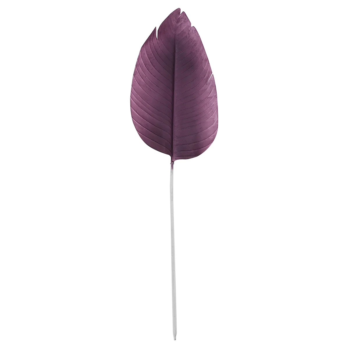 Artificial Canna Artificial Canna Leaf Lifelike Banana Leaves Home Decoration Faux Tree Plant Adornment Purple Green Plants
Artificial Canna Artificial Canna Leaf Lifelike Banana Leaves Home Decoration Faux Tree Plant Adornment Purple Green Plants