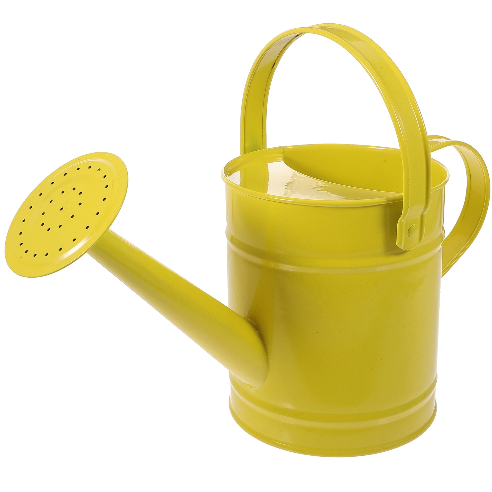 Durable Iron Can For Houseplants Flowers Ergonomic Handle No Spill Design Metal Pot Spout Can Garden Cans Outdoor Watering Pot
Durable Iron Can For Houseplants Flowers Ergonomic Handle No Spill Design Metal Pot Spout Can Garden Cans Outdoor Watering Pot