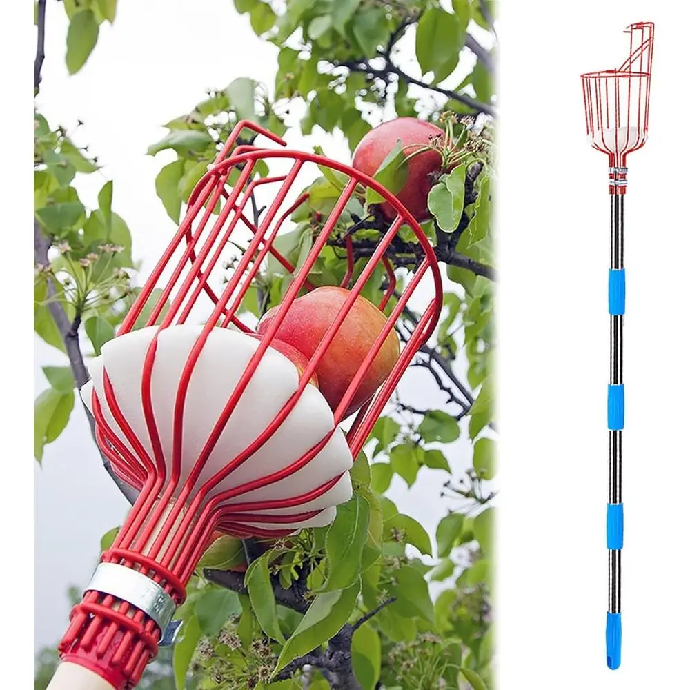 Telescoping Fruit Picker Pole with Basket, 1.6m-3.9m Extendable Harvesting Tool for Various Fruits
Telescoping Fruit Picker Pole with Basket, 1.6m-3.9m Extendable Harvesting Tool for Various Fruits
