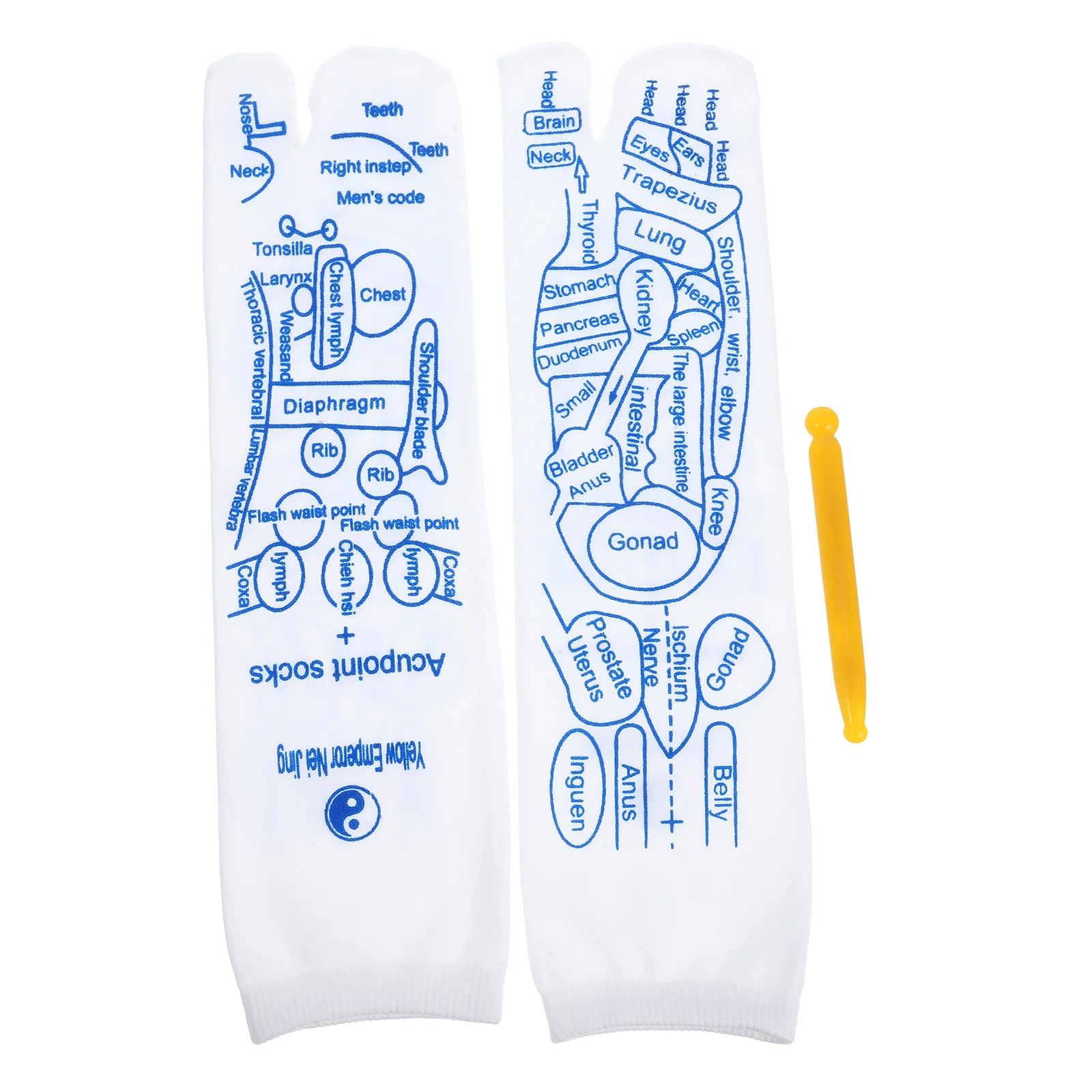 Reflexology Socks Acupressure Tools Resin Pen Acupoint Footwear Elastic Massage Thickened Bottom Sweat Absorbing Comfortable Fit
Reflexology Socks Acupressure Tools Resin Pen Acupoint Footwear Elastic Massage Thickened Bottom Sweat Absorbing Comfortable Fit