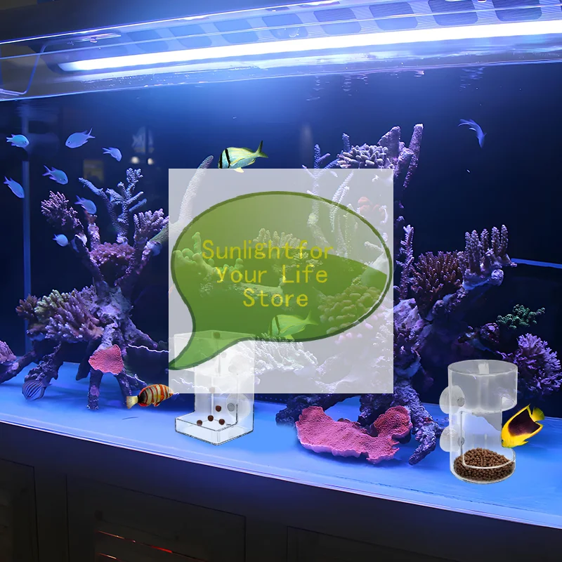 HOT!Acrylic Fish Food Holder for Fish Tank 2025: Dish Tray with Suction Cup
HOT!Acrylic Fish Food Holder for Fish Tank 2025: Dish Tray with Suction Cup