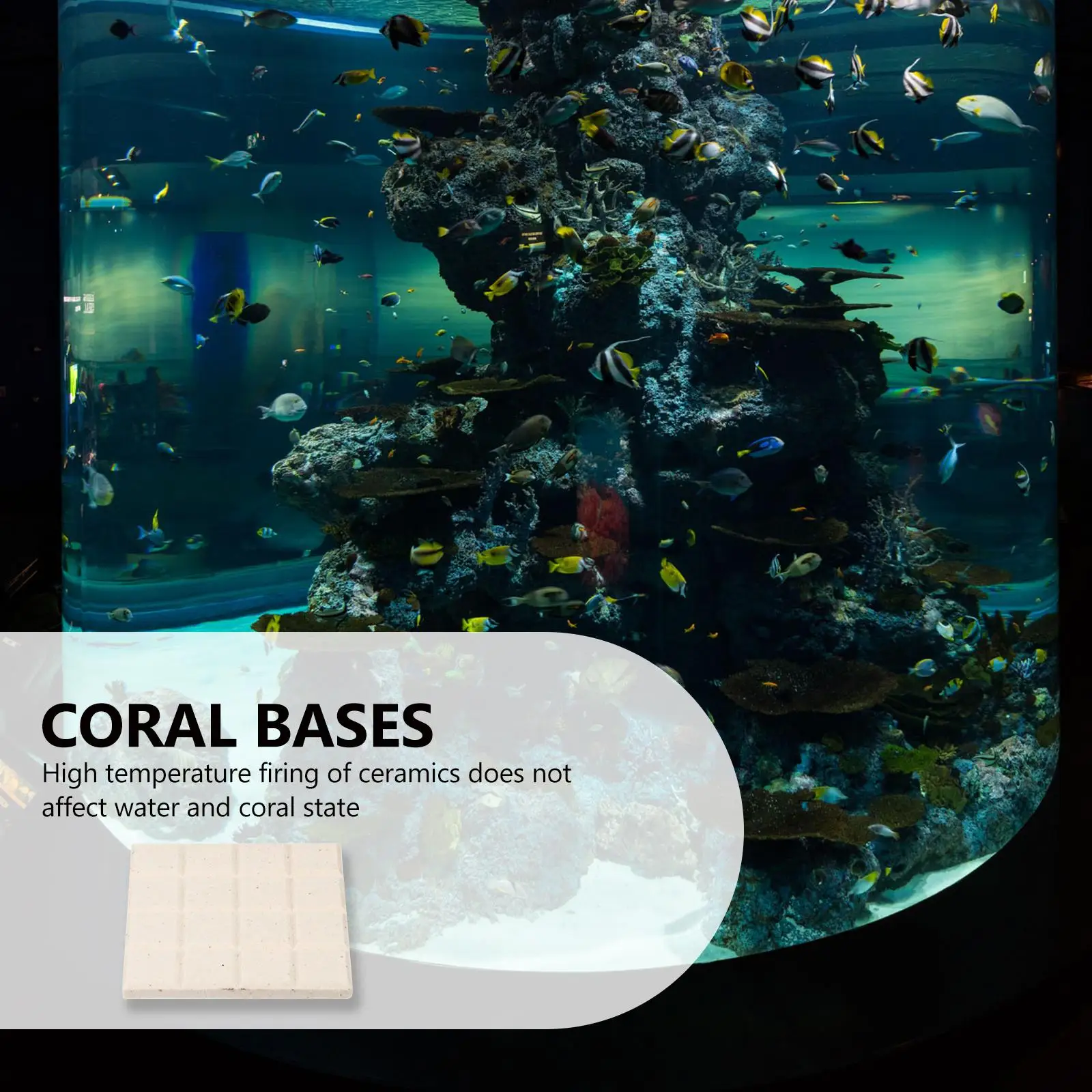 10pcs Coral Durable Ceramic Material Fish Tank Rack Fish Tank Accessory Coral Base Handle Aquarium Accessories
10pcs Coral Durable Ceramic Material Fish Tank Rack Fish Tank Accessory Coral Base Handle Aquarium Accessories