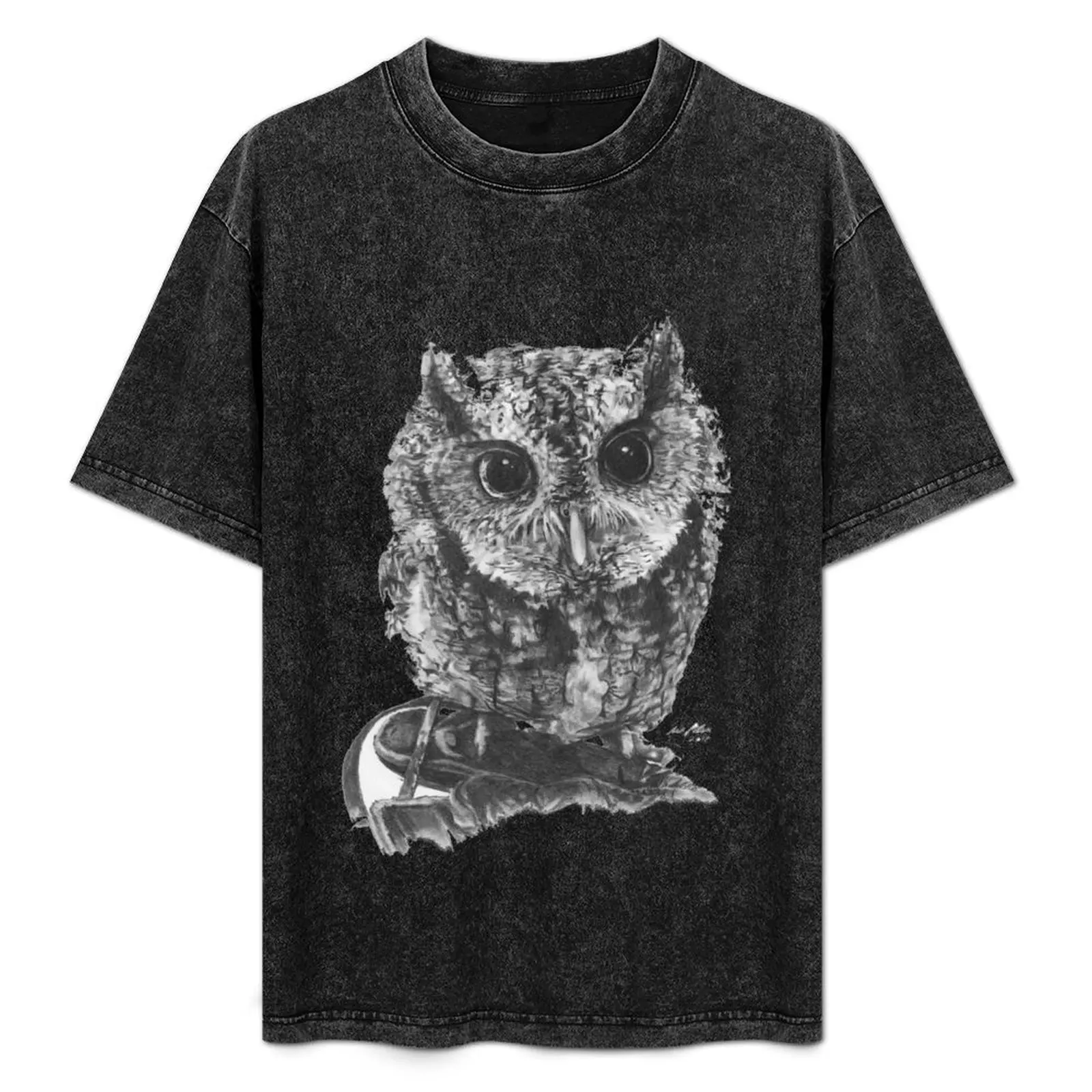 Eastern Screech Owl T-Shirt Basic Solid Color Short Sleeve T-Shirt
Eastern Screech Owl T-Shirt Basic Solid Color Short Sleeve T-Shirt
