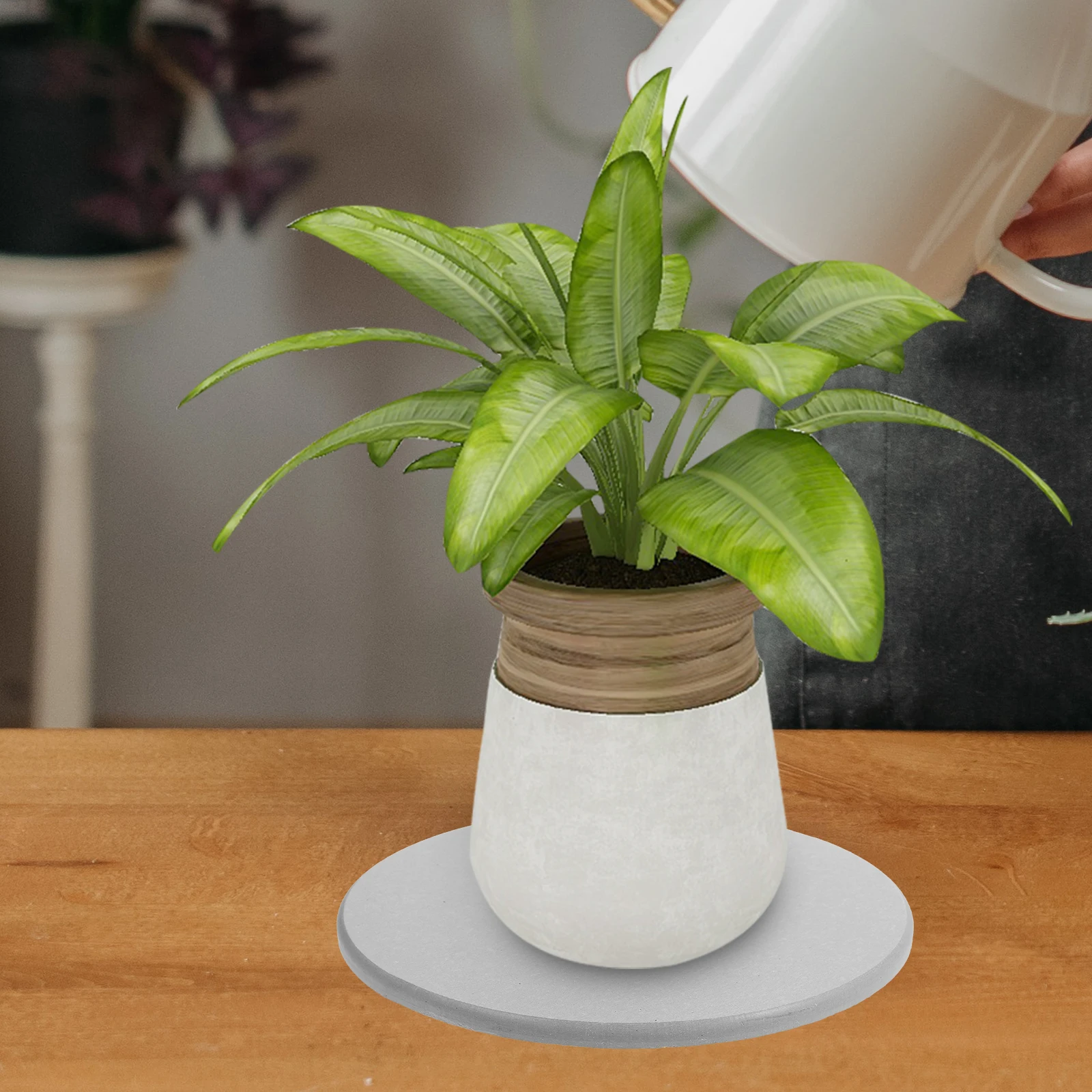 2 Pcs Diatom Mud Absorbent Cup Pads Coasters 18cm Diameter Reusable Absorbent Plant Pad Water Planter Saucer Pad
2 Pcs Diatom Mud Absorbent Cup Pads Coasters 18cm Diameter Reusable Absorbent Plant Pad Water Planter Saucer Pad