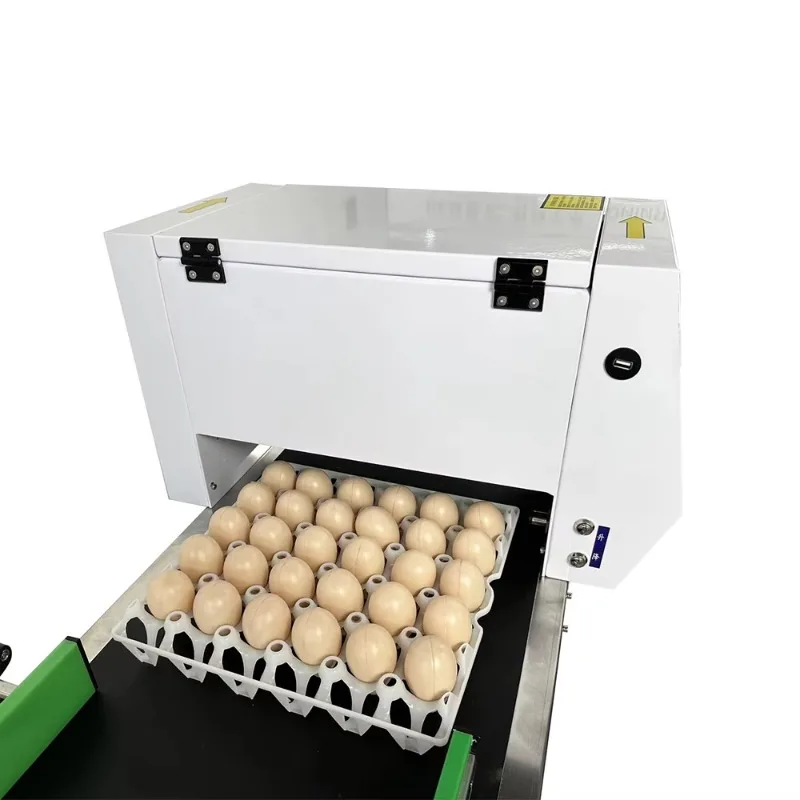 Custom High Speed 6 Nozzle Egg Date Printer Non Contact Industrial Inkjet Coding Machine for Egg Packing Plants
Custom High Speed 6 Nozzle Egg Date Printer Non Contact Industrial Inkjet Coding Machine for Egg Packing Plants