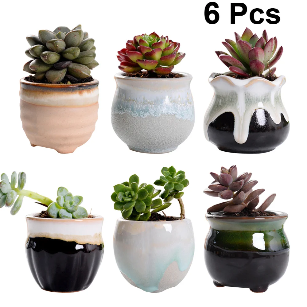 6Pcs Succulent Plant Pot Creative Ceramic Flower Pot Variable Flow Glaze For Home Room Office Seedsplant Plant Pot Without Plant
6Pcs Succulent Plant Pot Creative Ceramic Flower Pot Variable Flow Glaze For Home Room Office Seedsplant Plant Pot Without Plant