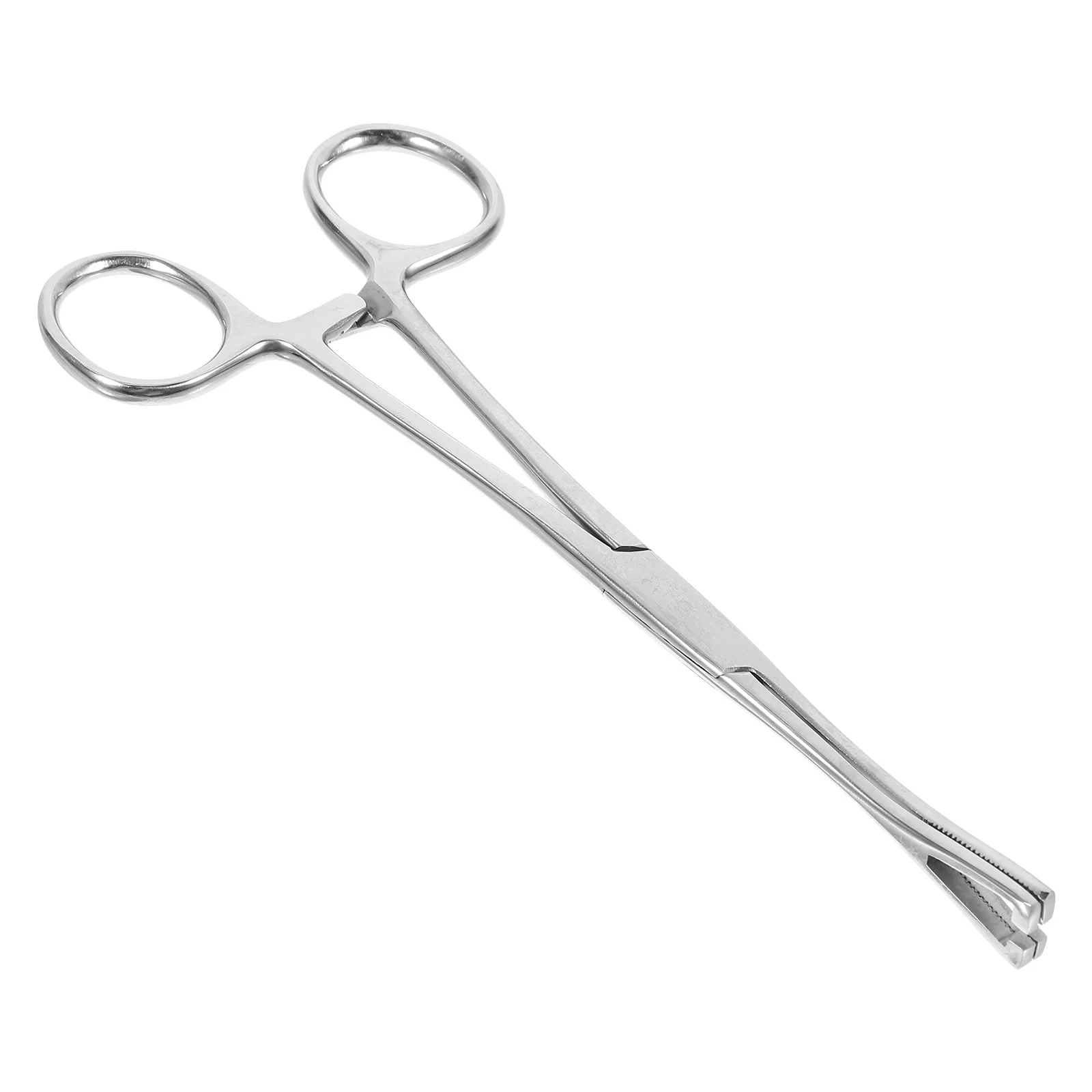 Stainless Steel Reptile Feeding Tongs Long Handle Durable Ergonomic Snake Lizard Feeding Tool Terrarium Supplies 
Stainless Steel Reptile Feeding Tongs Long Handle Durable Ergonomic Snake Lizard Feeding Tool Terrarium Supplies