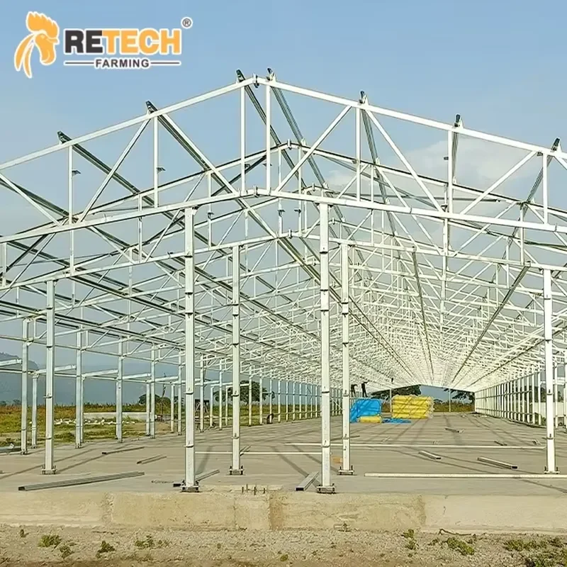 Fully Automated Safe Chicken Raising Battery Cages for Poultry Chicken Layer
Fully Automated Safe Chicken Raising Battery Cages for Poultry Chicken Layer
