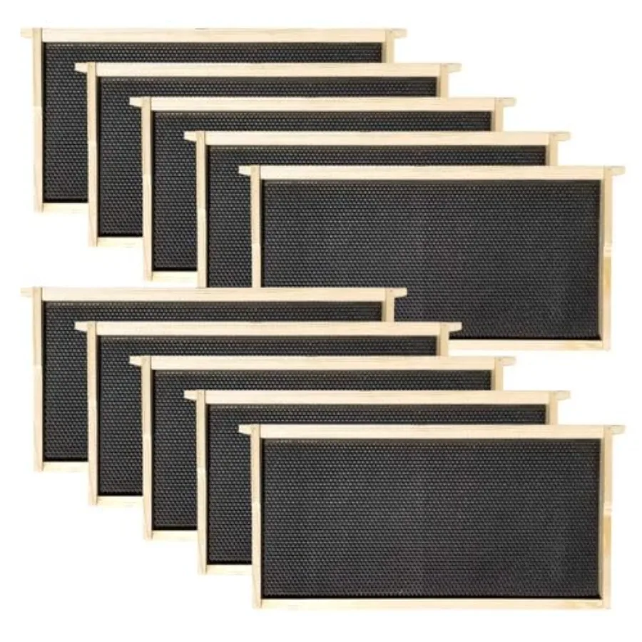 Deep Wooden Langstroth Beekeeping Frames with Black Plastic Foundations and Beeswax Coating Durable for Hive Use
Deep Wooden Langstroth Beekeeping Frames with Black Plastic Foundations and Beeswax Coating Durable for Hive Use