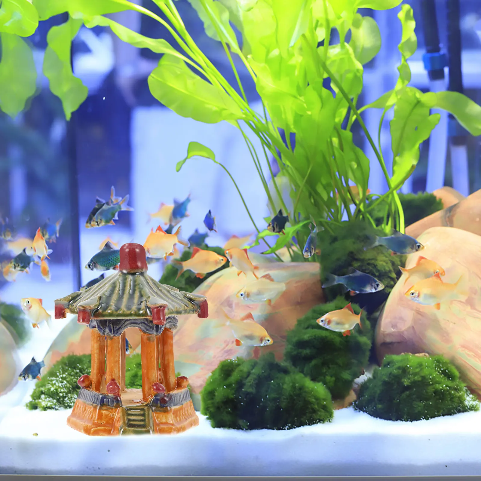 1Pcs Ceramic Pavilion Decor Mini Detailed Vivid Micro Landscape Desert Fish Tank Bonsai Gardening Sculpture Garden Home
1Pcs Ceramic Pavilion Decor Mini Detailed Vivid Micro Landscape Desert Fish Tank Bonsai Gardening Sculpture Garden Home