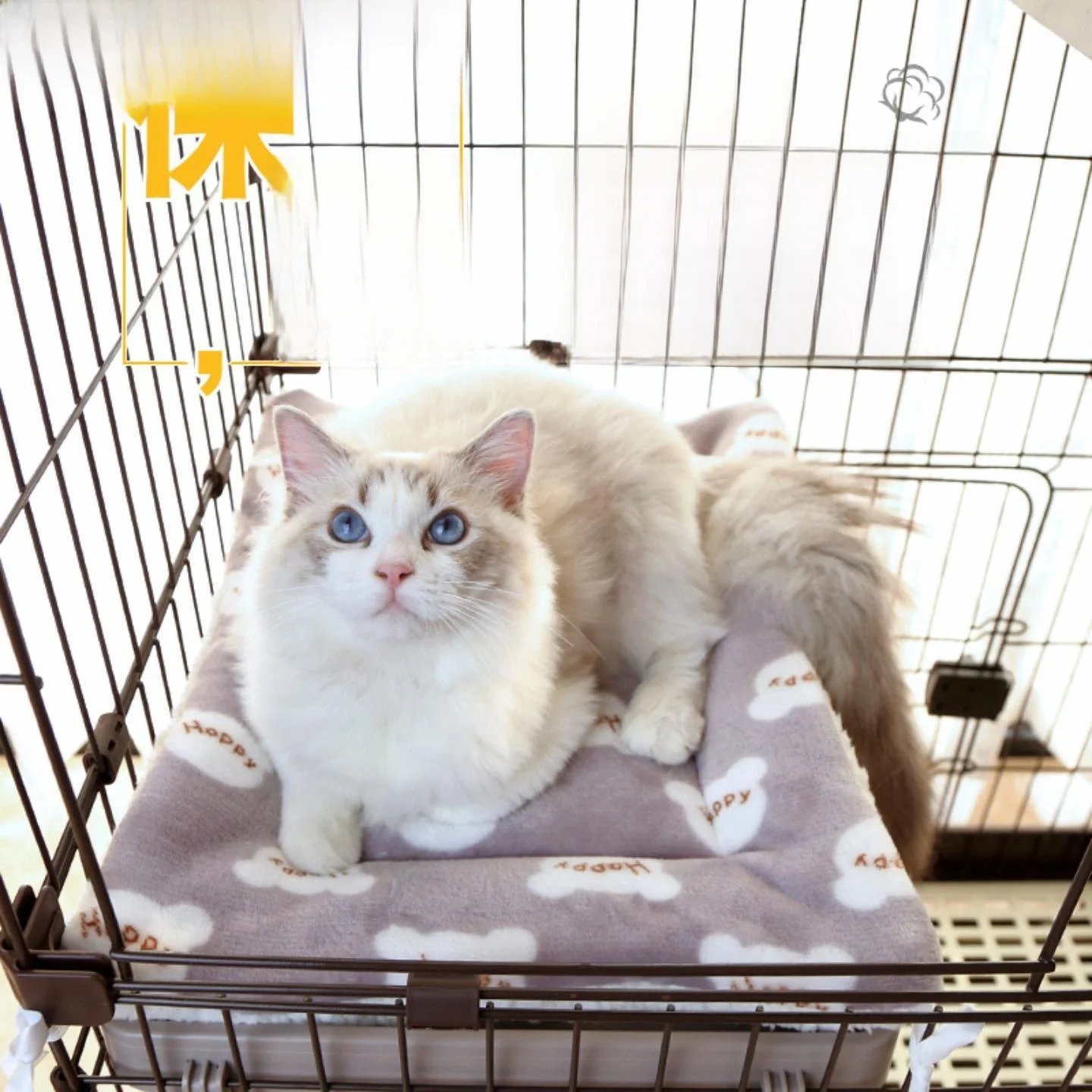 Warm Fce Cage Mat Autumn Winter Pet Blanket Fixed Velvet Soft Cozy Pad Blanket for s Home Comfortable Mat
Warm Fce Cage Mat Autumn Winter Pet Blanket Fixed Velvet Soft Cozy Pad Blanket for s Home Comfortable Mat