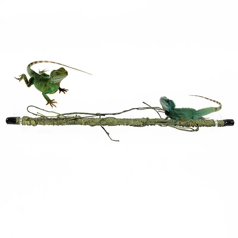 Reptile Climbing Branch Multipurpose Climbing Branch For Terrarium Funny Snake Supplies Lizard Tank Ornament For Bearded Dragon
Reptile Climbing Branch Multipurpose Climbing Branch For Terrarium Funny Snake Supplies Lizard Tank Ornament For Bearded Dragon
