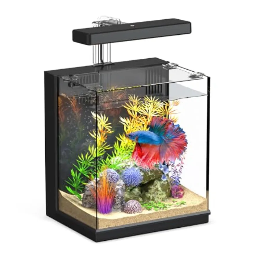 2 Gallon Betta Fish Tank with Filtration All-in-One Aquarium for Beginners Blue Transparent Plastic
2 Gallon Betta Fish Tank with Filtration All-in-One Aquarium for Beginners Blue Transparent Plastic