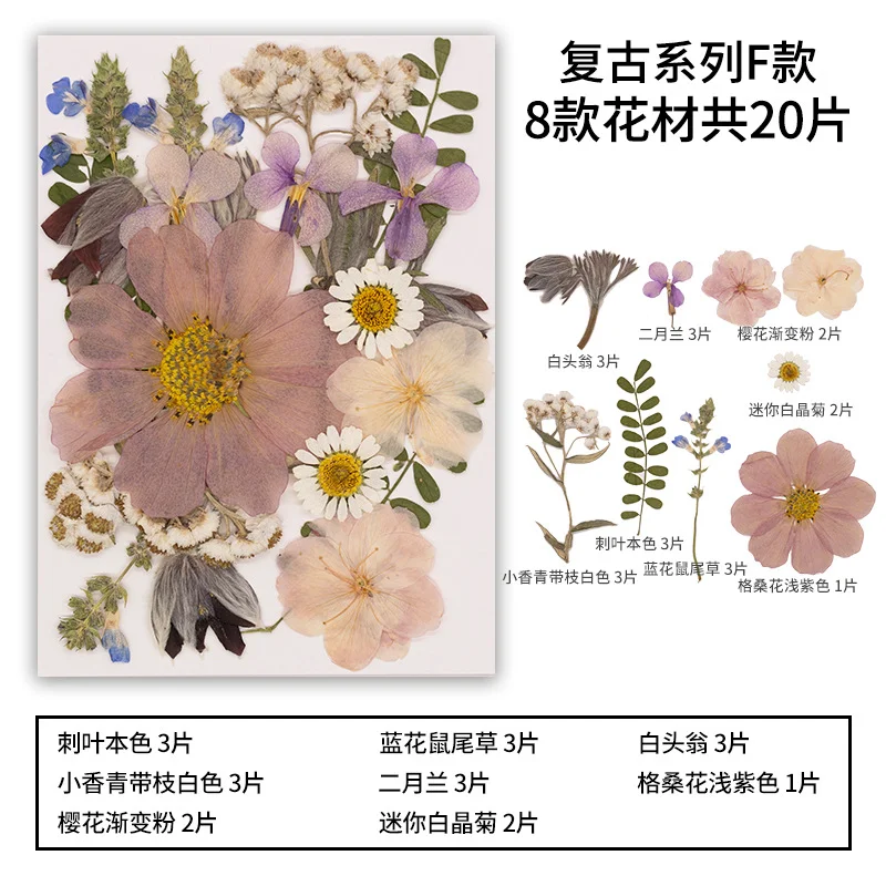 Dried Flower Pressed Flower DIY Bookmark Handmade Materials Leaf Specimen Creative Stickers Children's Plant Specimen Material Kit
Dried Flower Pressed Flower DIY Bookmark Handmade Materials Leaf Specimen Creative Stickers Children's Plant Specimen Material Kit
