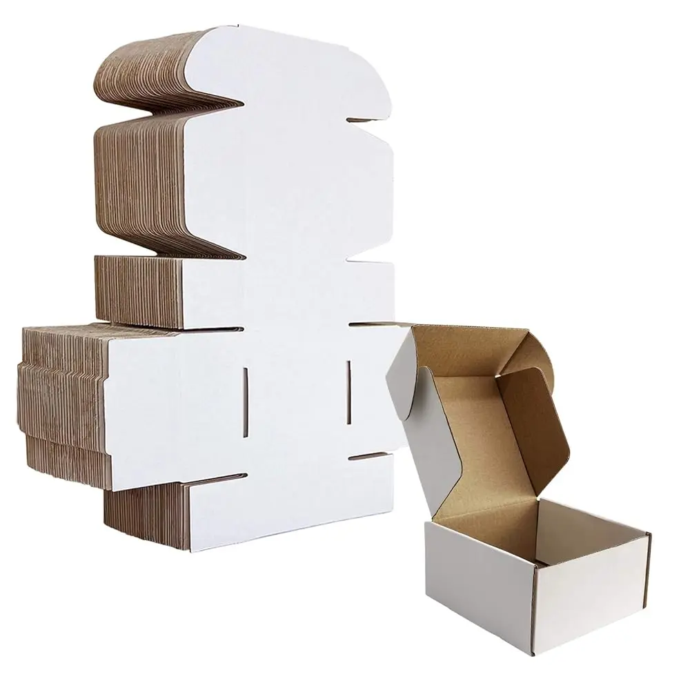 4x4x2 inches Shipping Boxes Set of 25, White Corrugated Cardboard Box Literature Mailer
4x4x2 inches Shipping Boxes Set of 25, White Corrugated Cardboard Box Literature Mailer