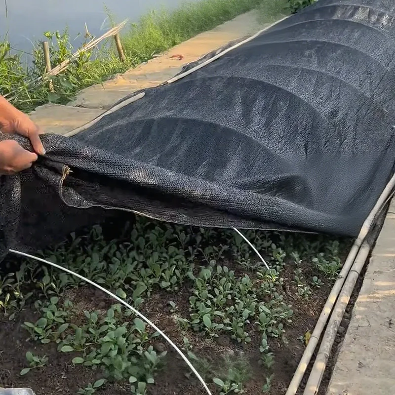 3/4/6/12Pin черный тканевый солнцезащитный крем, сетчатый чехол, скошенные края, люверсы, солнцезащитная сетка, пергола, растения, теплицы, сады, навес для патио
3/4/6/12Pin черный тканевый солнцезащитный крем, сетчатый чехол, скошенные края, люверсы, солнцезащитная сетка, пергола, растения, теплицы, сады, навес для патио