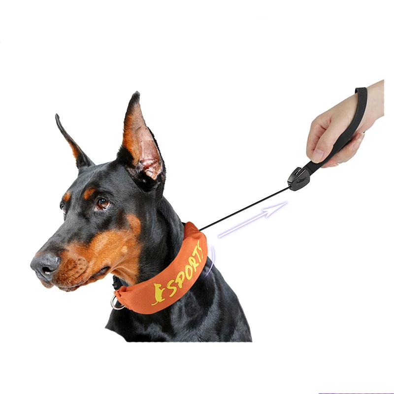 2 in 1 Retractable Dog Collar Leash Pet Supplies Dog Automatic Retractable Rope Leash Dog Accessories
2 in 1 Retractable Dog Collar Leash Pet Supplies Dog Automatic Retractable Rope Leash Dog Accessories