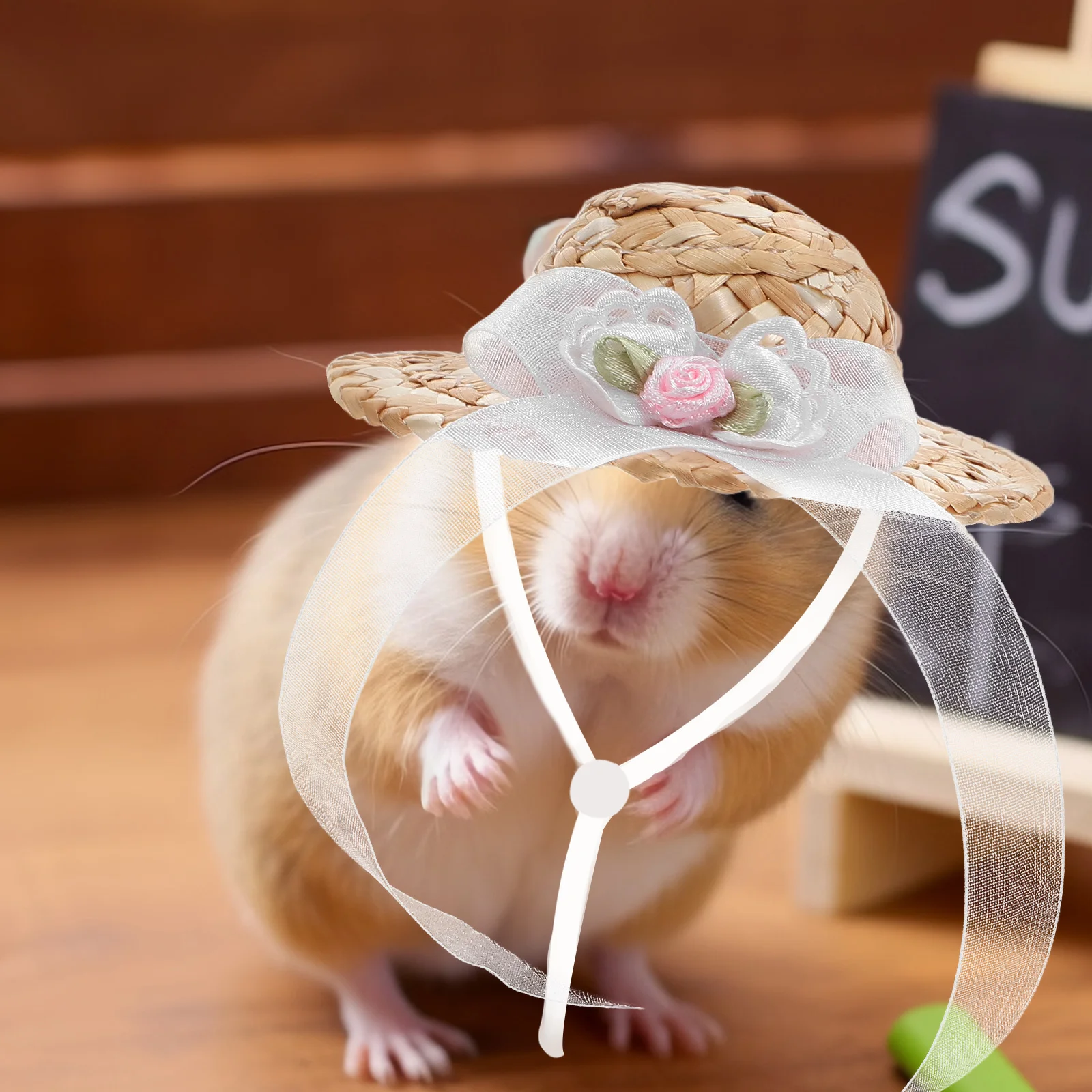 3Pcs Mini Pet Hat Cute Small Animal Hat Set for Chicken Hamster Parrot Bird Soft Breathable Headwear for Daily Wear Photo Shoots
3Pcs Mini Pet Hat Cute Small Animal Hat Set for Chicken Hamster Parrot Bird Soft Breathable Headwear for Daily Wear Photo Shoots