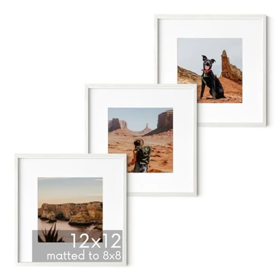 Solid Wood 12"x12" Picture Frames Matted to 8"x8" 3 - Square Frames 12x12, White Frame with Mat, 12 x 12 Frames, Square Picture
Solid Wood 12"x12" Picture Frames Matted to 8"x8" 3 - Square Frames 12x12, White Frame with Mat, 12 x 12 Frames, Square Picture