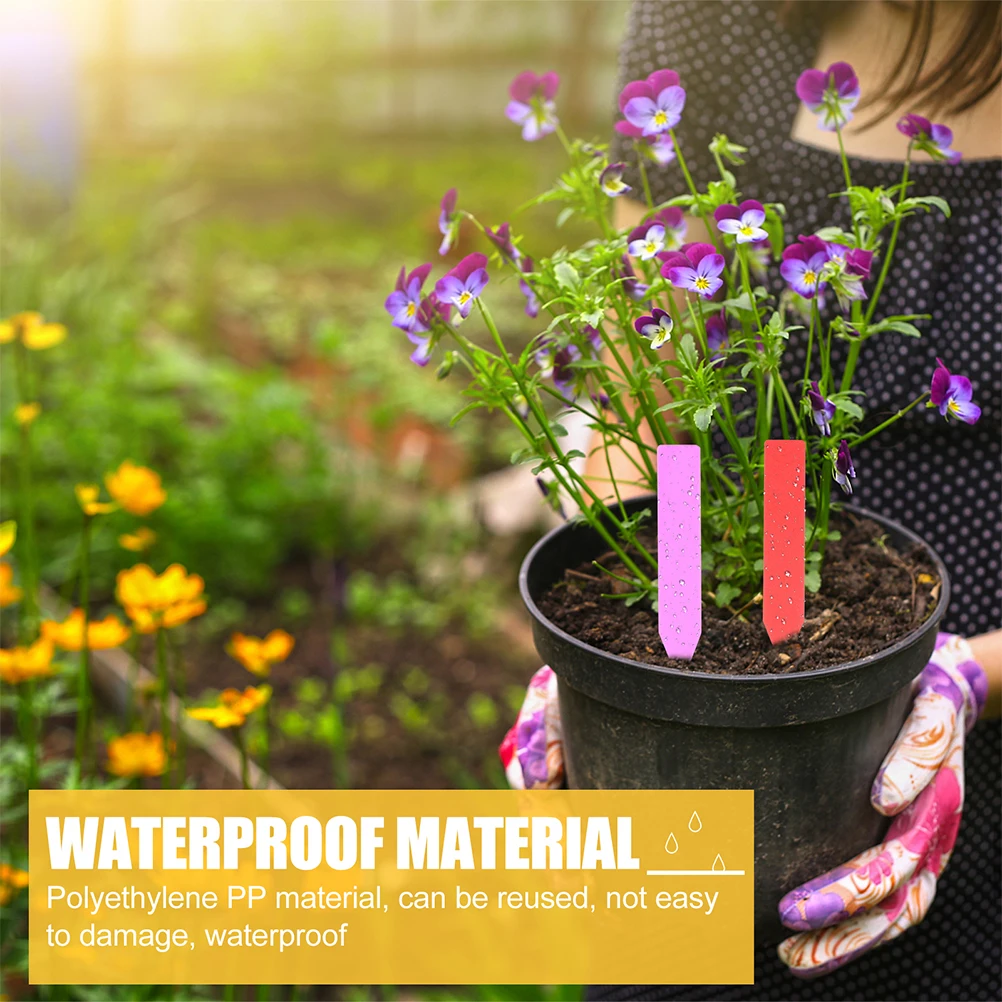 600pcs Plant Labels Stakes PP Material Waterproof Durable Garden Tags Soil Resistance Plants Identification Plastic
600pcs Plant Labels Stakes PP Material Waterproof Durable Garden Tags Soil Resistance Plants Identification Plastic