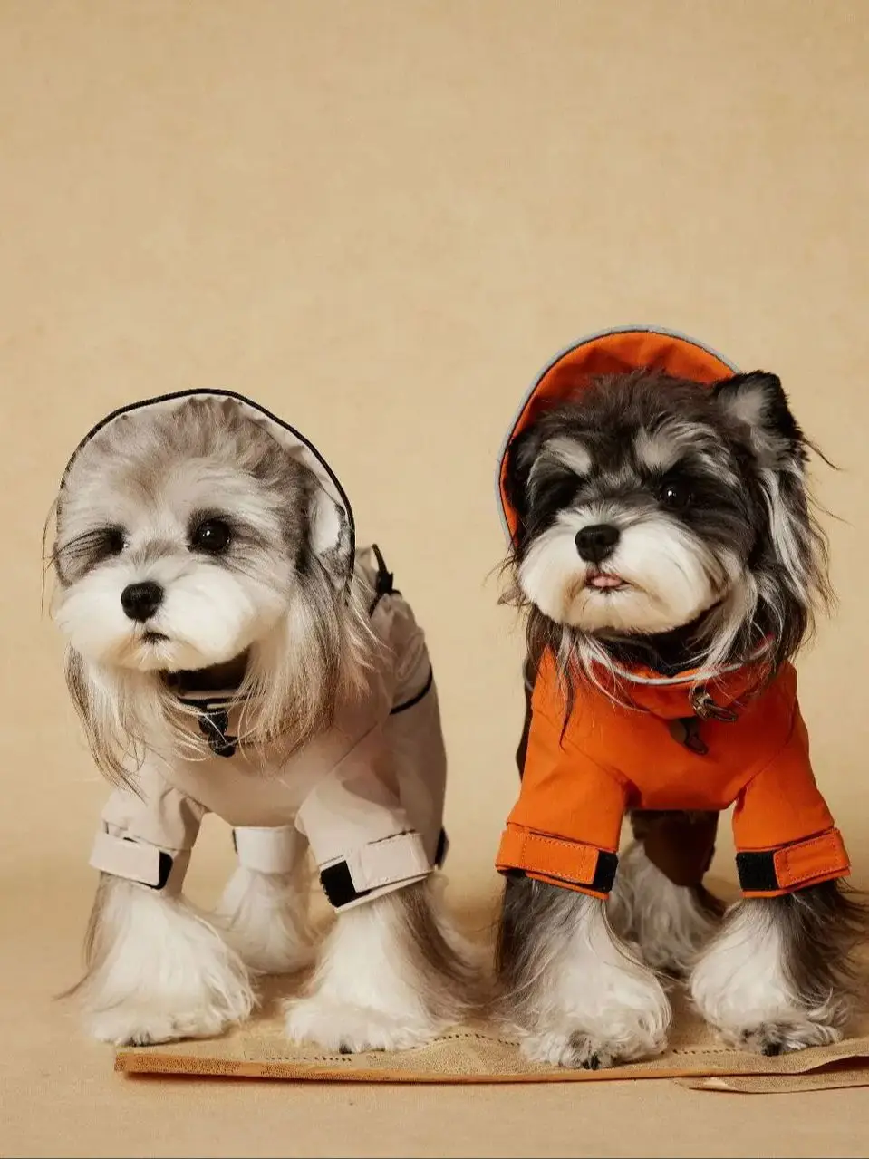 Cool Outdoor Brand Style Dog Four-Legged Rain Jacket - High-Quality Custom Waterproof Pet Jumpsuit for Small Dogs
Cool Outdoor Brand Style Dog Four-Legged Rain Jacket - High-Quality Custom Waterproof Pet Jumpsuit for Small Dogs