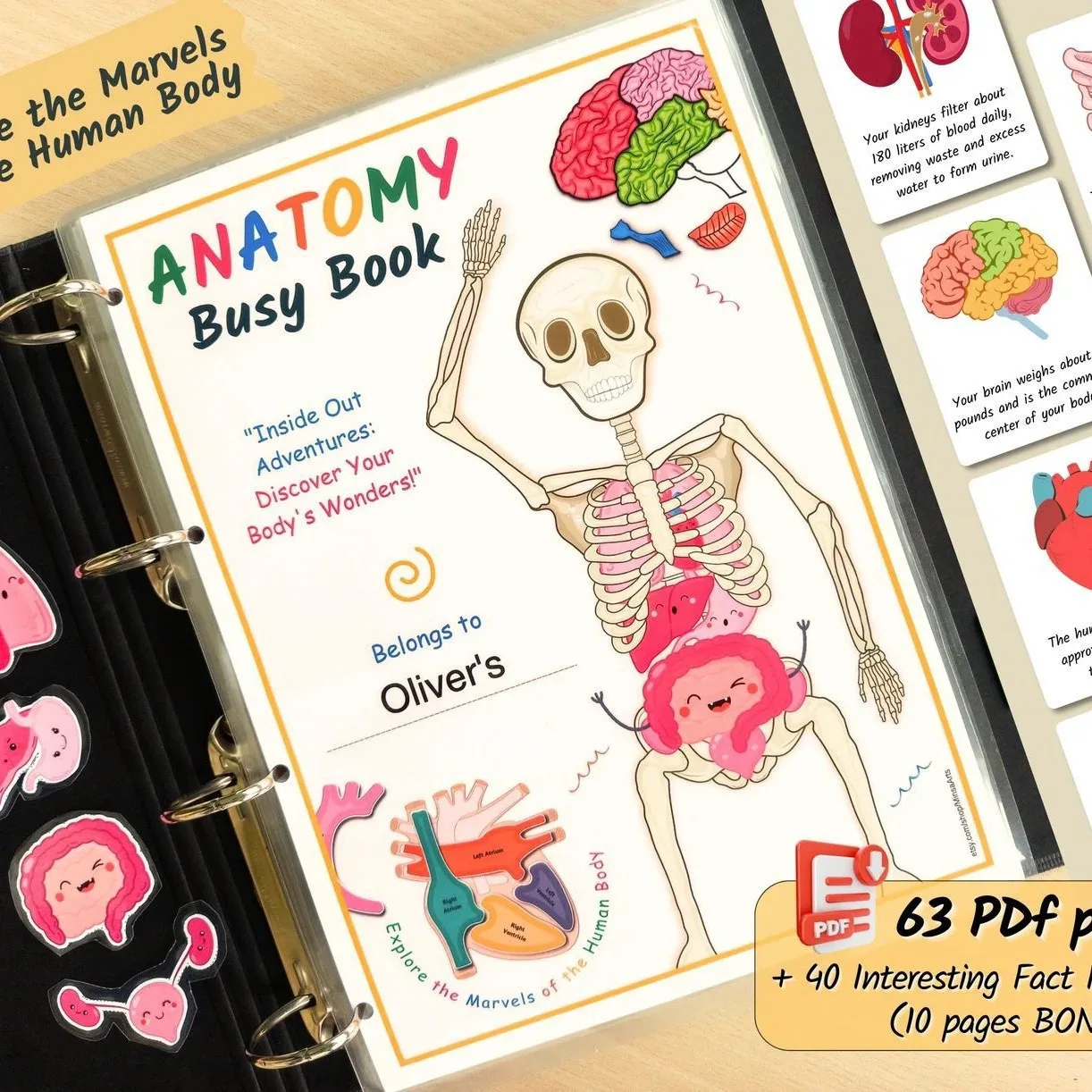 2025 Hot Selling Explore The Secrets of The Human Body Popular Picture Book New Extract Color Puzzle Coloring Book
2025 Hot Selling Explore The Secrets of The Human Body Popular Picture Book New Extract Color Puzzle Coloring Book