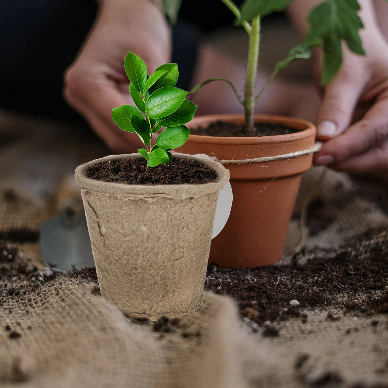 40Pcs Paper Planting Pots Paper Pulp Nursery Cups for Seed Starting Biodegradable Root Friendly Propagator Pots Garden Flower
40Pcs Paper Planting Pots Paper Pulp Nursery Cups for Seed Starting Biodegradable Root Friendly Propagator Pots Garden Flower