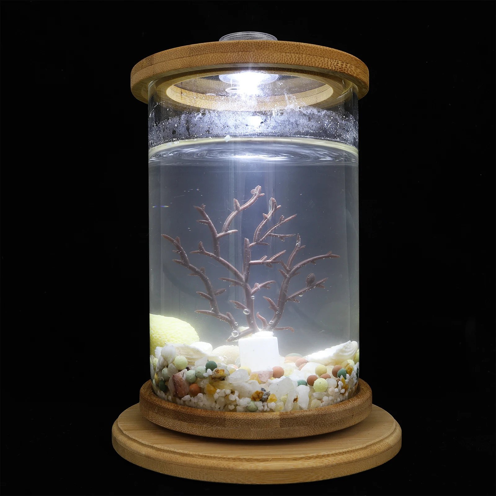 1 Set Transparent Aquarium Tank Decorative Fish Bowl Household Fish Aquarium Desktop Accessory Ecological Micro Landscape Glass
1 Set Transparent Aquarium Tank Decorative Fish Bowl Household Fish Aquarium Desktop Accessory Ecological Micro Landscape Glass