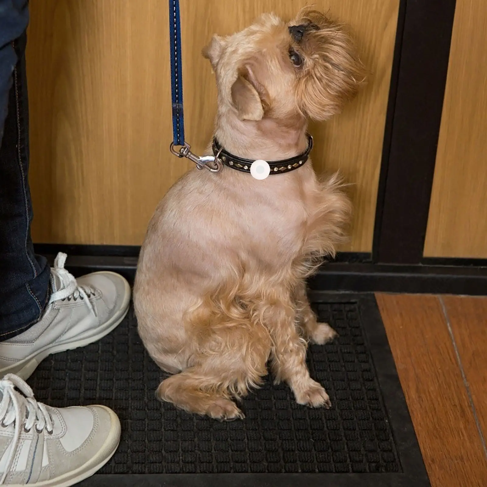 2 шт. силиконовые защитные чехлы-держатели для трекеров, предотвращающие потерю, с полной защитой корпуса, легко переносимые, портативные, надежные, для использования на улице
2 шт. силиконовые защитные чехлы-держатели для трекеров, предотвращающие потерю, с полной защитой корпуса, легко переносимые, портативные, надежные, для использования на улице