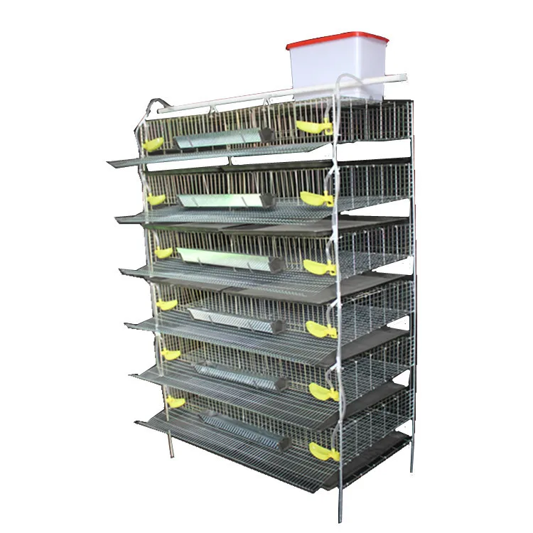 6 Tiers Poultry Farm Layer Quail Cage With Nipple Drinker for Sale
6 Tiers Poultry Farm Layer Quail Cage With Nipple Drinker for Sale