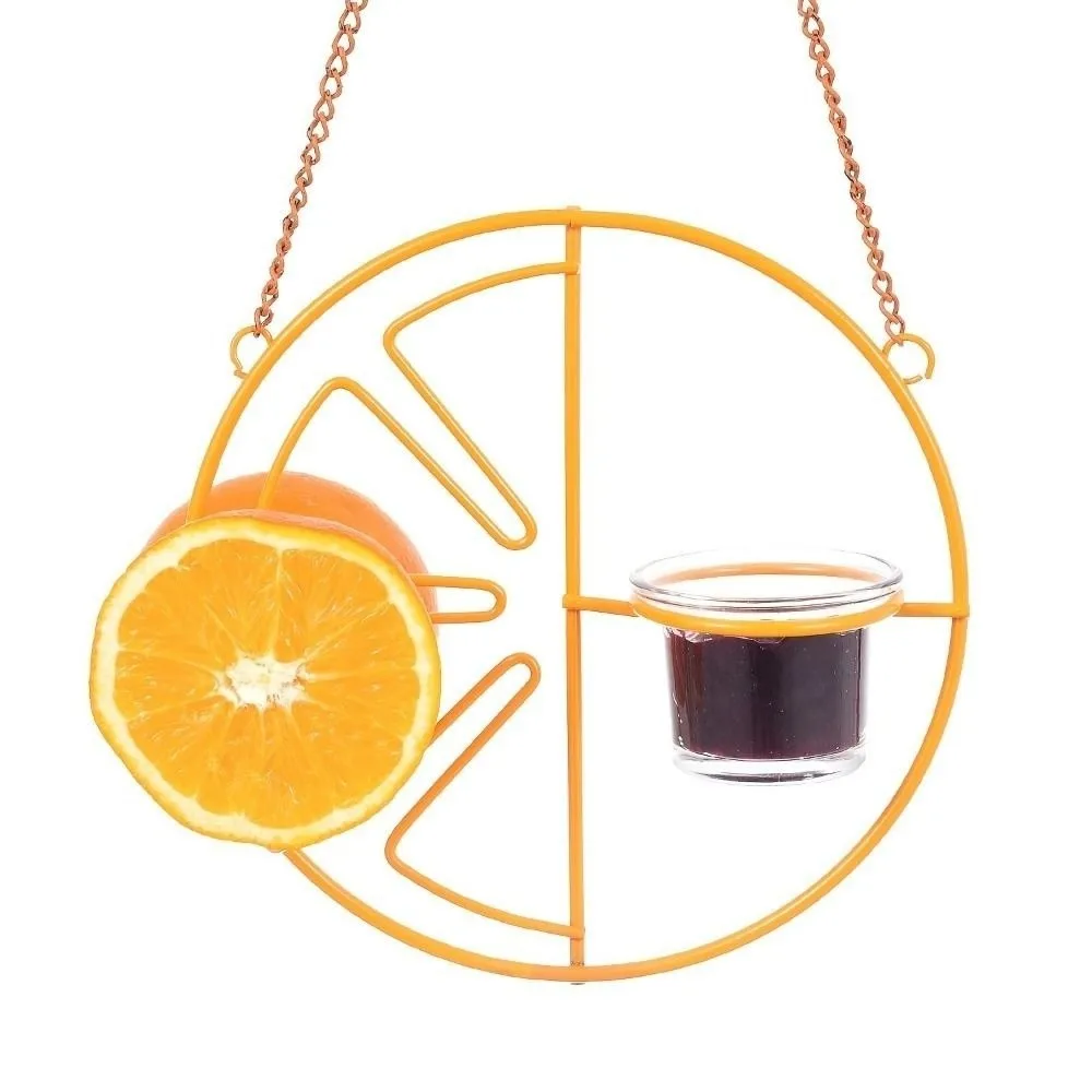 Decorative Orange Shaped Bird Feeder Food Container Versatile Hanging Bird Feeder Waterproof Creative Bird Feeding Station
Decorative Orange Shaped Bird Feeder Food Container Versatile Hanging Bird Feeder Waterproof Creative Bird Feeding Station