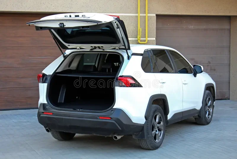 Auto Pop-Up Trunk Struts for Toyota RAV4 (XA40) 2013-2018 SUV Automatic Opening Gas Lift Supports with Springs Boot Struts
Auto Pop-Up Trunk Struts for Toyota RAV4 (XA40) 2013-2018 SUV Automatic Opening Gas Lift Supports with Springs Boot Struts