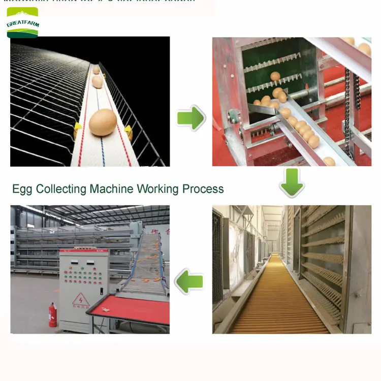 New Q235 Steel Wire H Type 4 Tiers Galvanized Chicken Coop With Egg Laying Hens Automatic Chicken Cage
New Q235 Steel Wire H Type 4 Tiers Galvanized Chicken Coop With Egg Laying Hens Automatic Chicken Cage