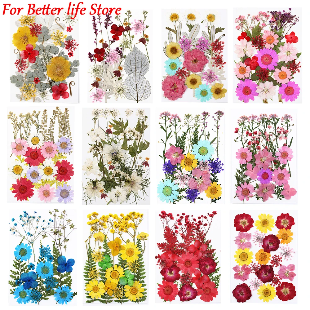 1PCS Dried Flowers UV Resin Decorative Natural Flower Stickers 3D Pressed Dried Flowers Beauty Decal Nail Art Epoxy Mold Filling
1PCS Dried Flowers UV Resin Decorative Natural Flower Stickers 3D Pressed Dried Flowers Beauty Decal Nail Art Epoxy Mold Filling