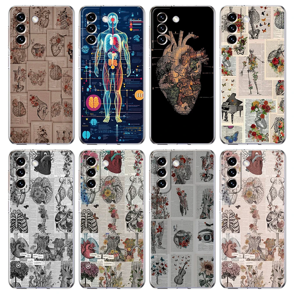 Anatomy Skeleton Chalkboard Heart Transparent Phone Case for Samsung Galaxy S24 S23 S22 S20 S21 FE Ultra S10 S9 Soft TPU Cover
Anatomy Skeleton Chalkboard Heart Transparent Phone Case for Samsung Galaxy S24 S23 S22 S20 S21 FE Ultra S10 S9 Soft TPU Cover