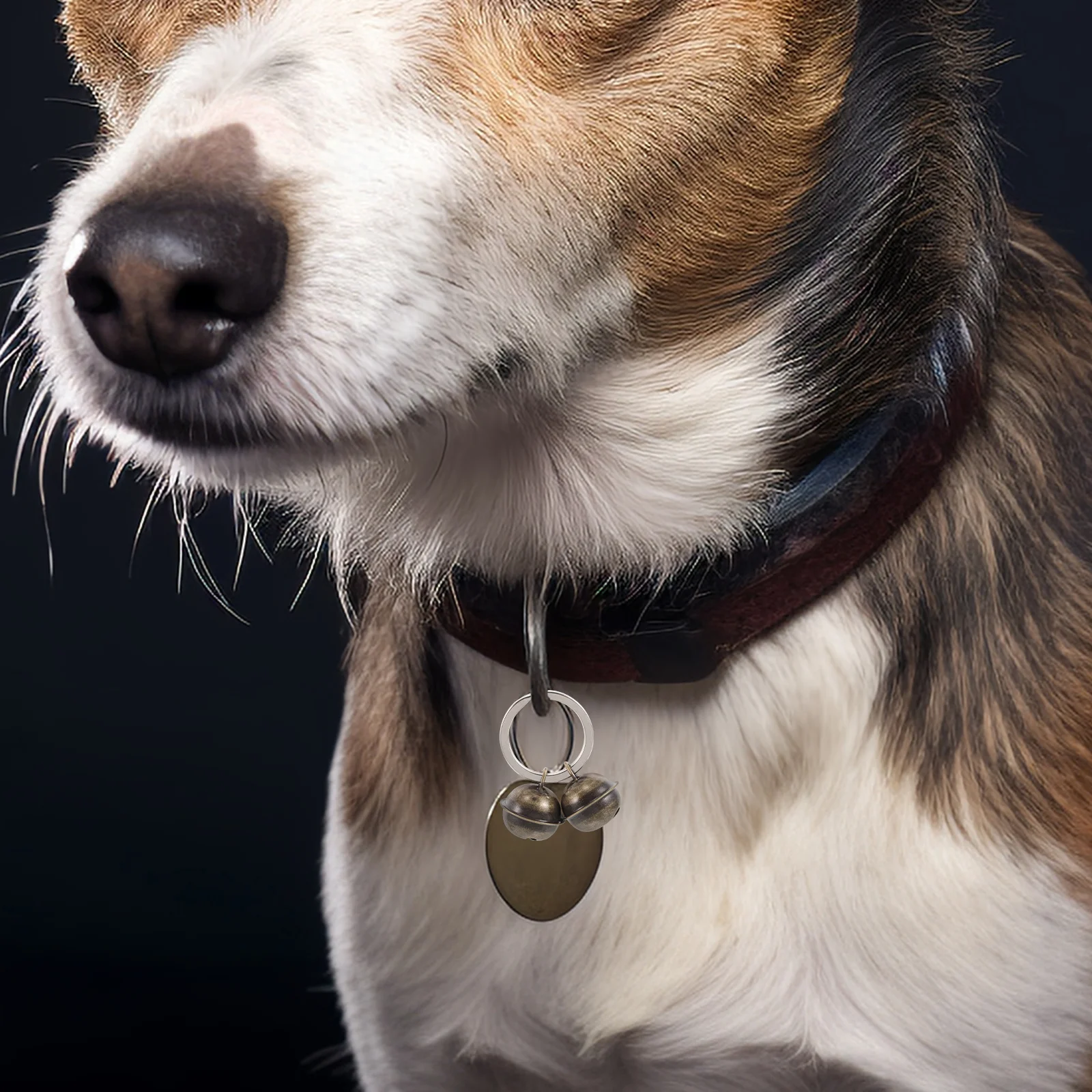 5Pcs Pet Bell Charm for Cats and Dogs Decorative Collar Bell Keychain Pendant Accessory for Training and Daily Use
5Pcs Pet Bell Charm for Cats and Dogs Decorative Collar Bell Keychain Pendant Accessory for Training and Daily Use