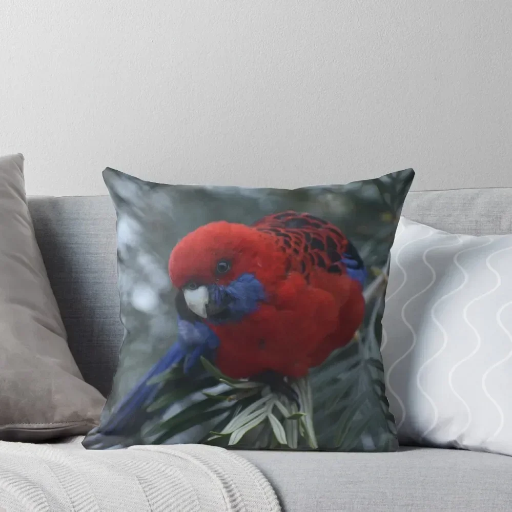 Crimson Rosella Throw Pillow Sofa Decorative Covers Decorative pillowcase pillow
Crimson Rosella Throw Pillow Sofa Decorative Covers Decorative pillowcase pillow