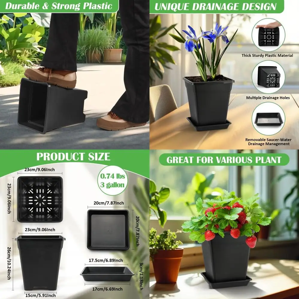 8 упаковок, 9 квадратных пластиковых горшков на 3 галлона с дренажем и блюдцем для внутреннего и наружного использования
8 упаковок, 9 квадратных пластиковых горшков на 3 галлона с дренажем и блюдцем для внутреннего и наружного использования