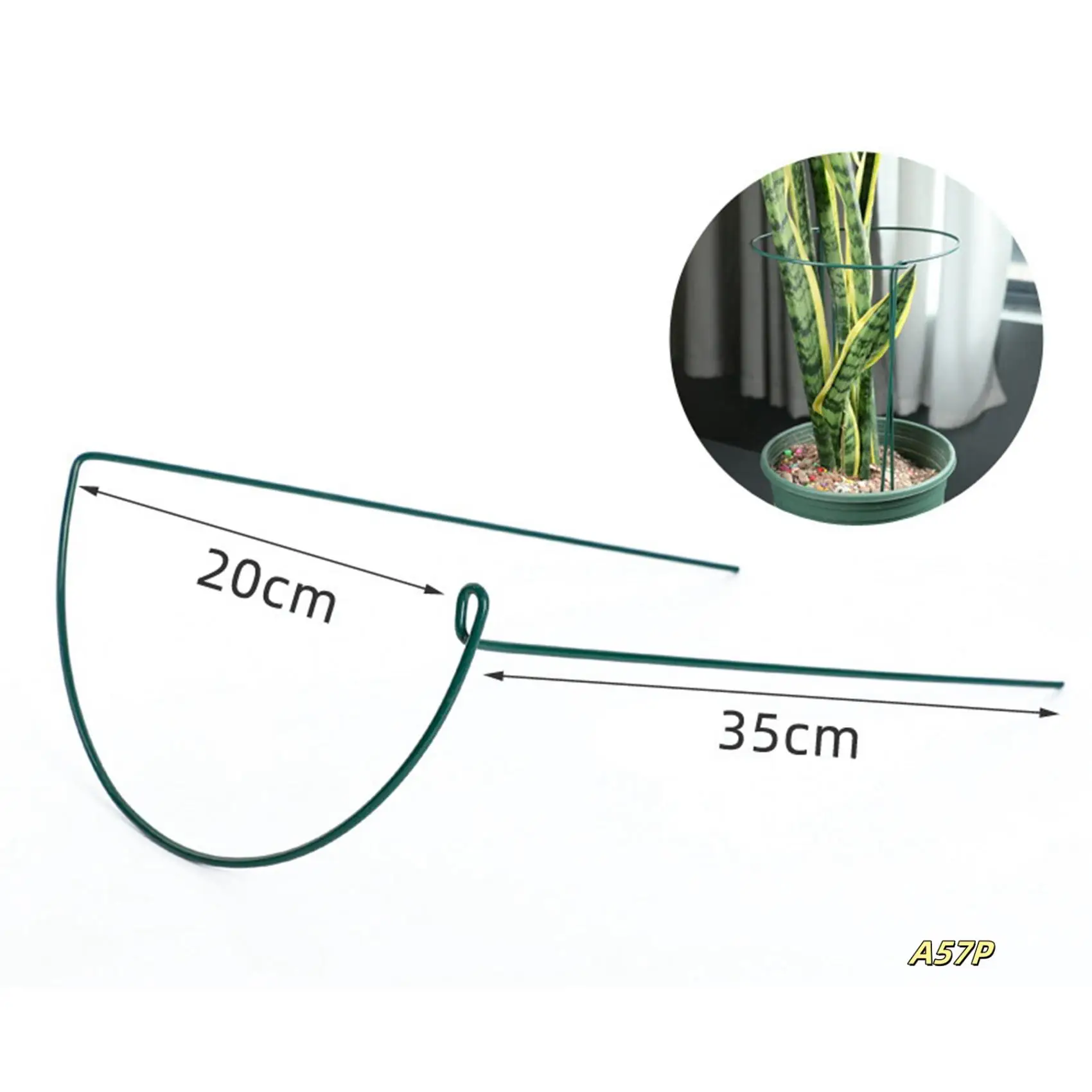 12 Pcs Plant Support Stakes Ring Cage Metal Garden Plant Stake Green Half Round Plant Support Ring Large Plant Supports
12 Pcs Plant Support Stakes Ring Cage Metal Garden Plant Stake Green Half Round Plant Support Ring Large Plant Supports