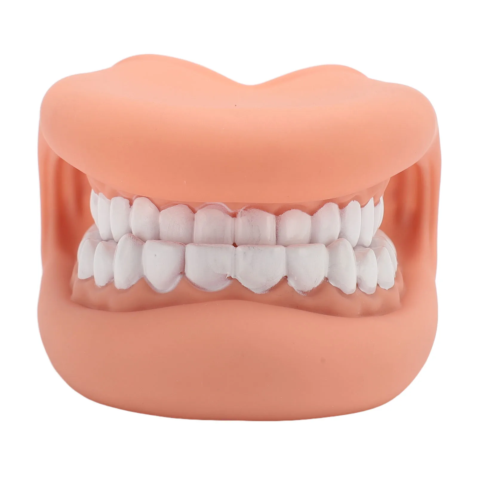 Mouth Puppet with Tongue 28 Teeth Silicone Speech Therapy Demonstration Teeth Model for Kids Teaching
Mouth Puppet with Tongue 28 Teeth Silicone Speech Therapy Demonstration Teeth Model for Kids Teaching