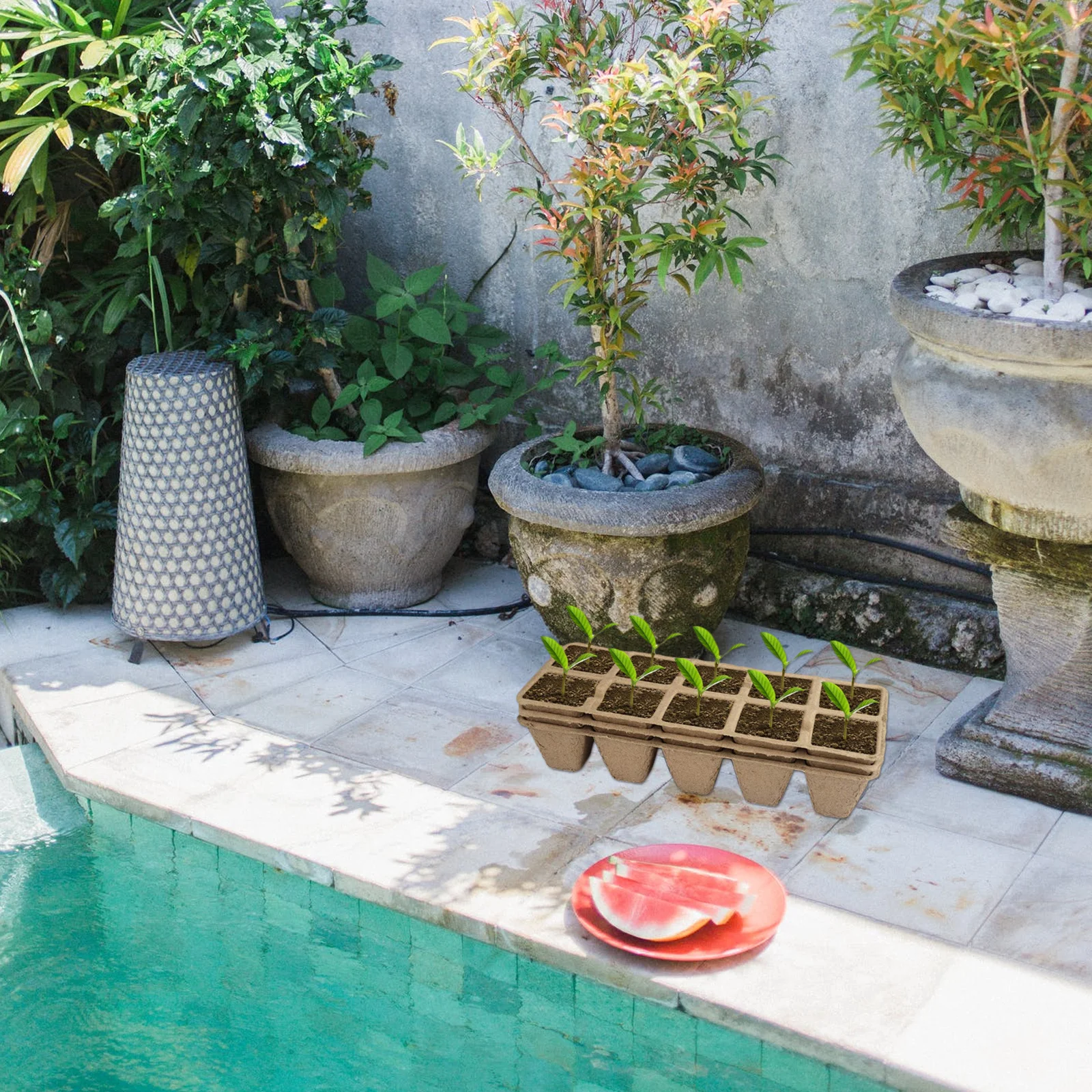 1Set Pulp Planting Set Heavy Duty Breathable Nursery Pots for Home Gardening Warm Moisture Retaining Planting Cup Vegetable
1Set Pulp Planting Set Heavy Duty Breathable Nursery Pots for Home Gardening Warm Moisture Retaining Planting Cup Vegetable