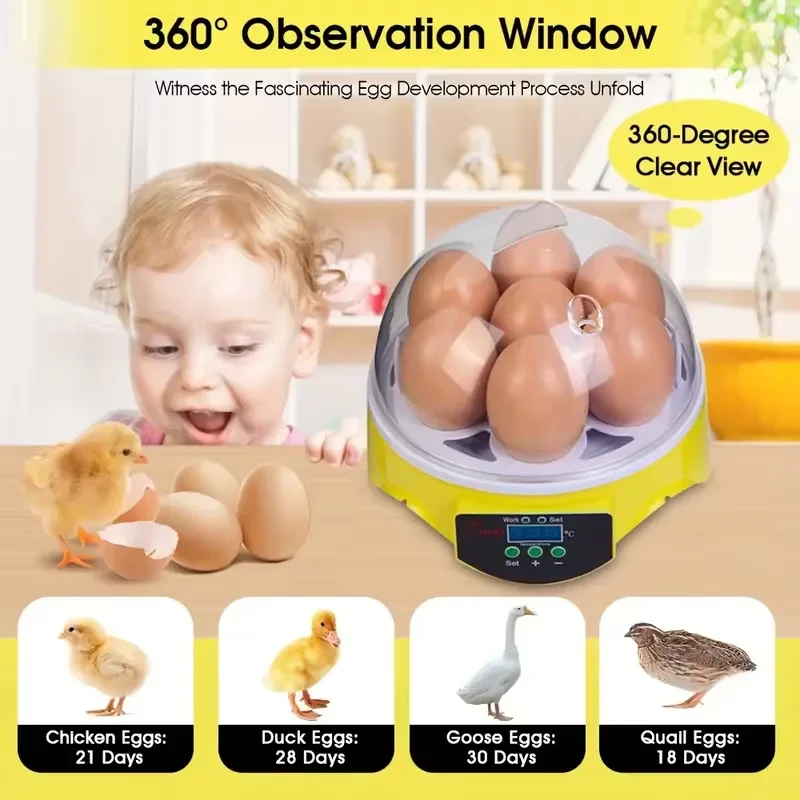 Mini Egg Incubator for Home Automatic Temperature Humidity Control 7 Eggs Candler Poultry Hatching Machine for Chickens Ducks
Mini Egg Incubator for Home Automatic Temperature Humidity Control 7 Eggs Candler Poultry Hatching Machine for Chickens Ducks