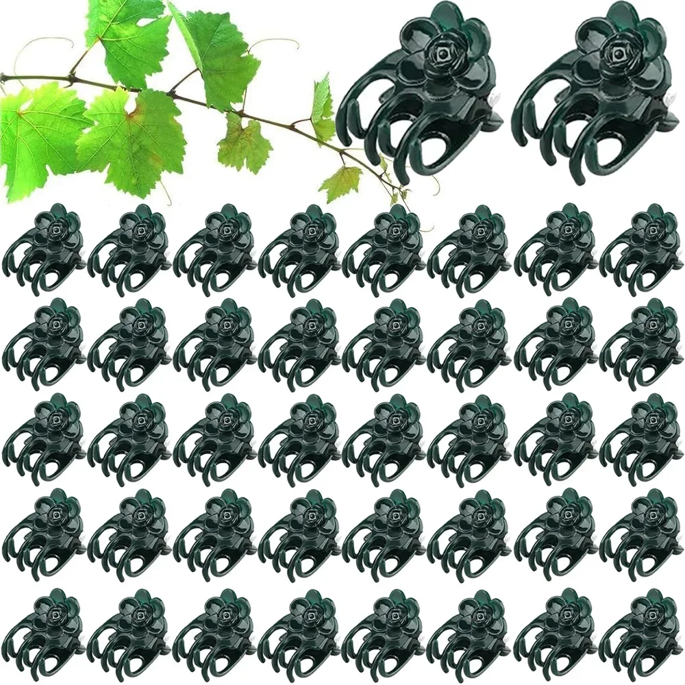50/100Pcs Garden Plant Clips Orchid Flower Support Clamp Fruit Vegetable Stem Vine Tied Stakes Grafting Garden Tools
50/100Pcs Garden Plant Clips Orchid Flower Support Clamp Fruit Vegetable Stem Vine Tied Stakes Grafting Garden Tools